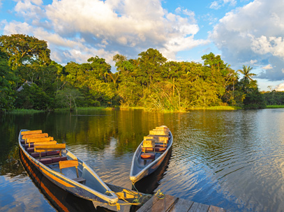 Croisière Rio Napo - Amazonie
